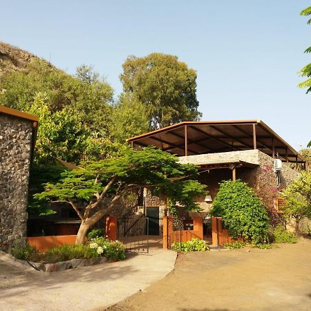 발세키요 Peaceful House Set On A Vineyard & Work Friendly 빌라 외부 사진