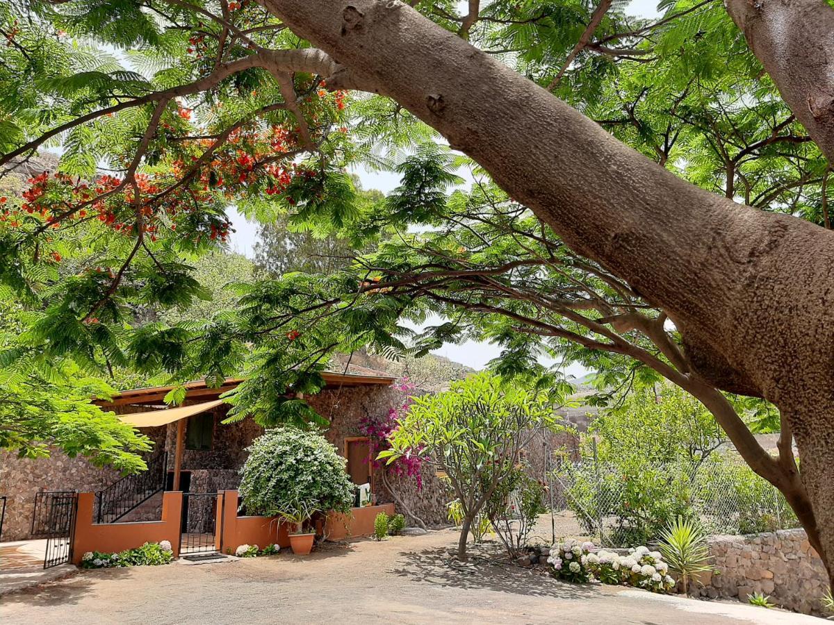 발세키요 Peaceful House Set On A Vineyard & Work Friendly 빌라 외부 사진